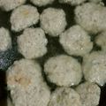 ちゃんゆー♪'s cooksnap of when they made １歳からの離乳食＊レンジで簡単！鶏団子.
