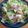 くいしんぼんぼん's cooksnap of when they made 新玉ねぎと春キャベツのシンプルパスタ.