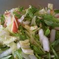 sawaneco's cooksnap of when they made しゃきしゃき 白菜＆りんごのサラダ.