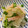 しまんちゅ44's cooksnap of when they made 大根とセロリとハムのマリネ♪.
