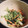 クックCG2NFA☆'s cooksnap of when they made ちょっとおしゃれな＊白菜のサラダ.