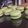 クック3I3877☆'s cooksnap of when they made 失敗なしの抹茶マカロン.