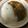 うさこママ★'s cooksnap of when they made ダイエットに！カレー白滝！.