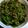 フカマチ's cooksnap of when they made 【常備菜】ピーマンおかかキンピラ.