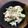 mezuchin's cooksnap of when they made たらこソースのきゅうりサラダ.
