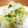 rakuen's cooksnap of when they made 爽やか☆白菜のゆず和え.