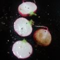 ふぁんたにゃん's cooksnap of when they made お弁当に◎ラディッシュソテー.