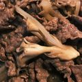 mino622's cooksnap of when they made 丼にお弁当に♪牛肉と玉葱としめじの甘辛煮.