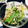 ako_k's cooksnap of when they made 楽々副菜！絹さやとエノキのバタ塩昆布炒め.