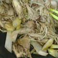 たけなお☆'s cooksnap of when they made 簡単ほんだし蒸し！風邪だからこのレシピ.