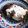 あさここなっつ's cooksnap of when they made コストコのティラミスを一気に食べない方法.