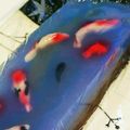 りんごのきもち's cooksnap of when they made 金魚の錦玉羹.