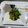 クック81UY93☆'s cooksnap of when they made ター菜の干し小海老炒め.