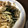 クックZ8J4H4☆'s cooksnap of when they made 簡単ヘルシー！ワカメとエノキの炒めもの.