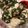 北のデビル。's cooksnap of when they made 簡単！絶品！豆腐わかめツナの中華風サラダ.