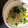 にむばすしゅたーぜん's cooksnap of when they made 簡単！小松菜ともやしのごま和え☆.
