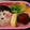 42nd wave's cooksnap of when they made 幼稚園 お弁当.