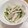 ♪りーちゃん♪♪'s cooksnap of when they made 超簡単☆大根と青じその即席漬け.