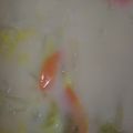 珠玉猫's cooksnap of when they made 市販のルウで簡単白菜&ベーコンのシチュー.