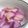 umemodoki's cooksnap of when they made 柚子風味✿大根漬け５００ｇ.