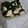 クックUVUCZD☆'s cooksnap of when they made ワカメ、豆腐、鶏肉を炒めてみて！.