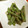 りんご華☆1219's cooksnap of when they made いんげんの胡麻和え.
