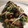 ビスビスビスケ's cooksnap of when they made 簡単＊ねぎ焼き.