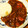 たくママ0226's cooksnap of when they made 牛スジのとろっとろのハヤシライス.