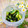 makichihua's cooksnap of when they made きゅうりとわかめの中華風和え物.