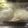 ぽちっどら's cooksnap of when they made ヘルシー！ゆで卵の塩麹漬け.
