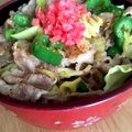 ユルゲン's cooksnap of when they made 野菜たっぷり！豚バラあんかけ丼.