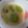 ☆うさきちさん☆'s cooksnap of when they made プラス糀 甘酒で.