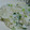 のんいちこ's cooksnap of when they made 簡単♪分量がわかりやすい七草粥☆.