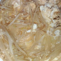 マグマグマグマグ's cooksnap of when they made もやしの卵とじ.