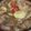 アピナス's cooksnap of when they made 昔ながらのおいしい肉じゃが.