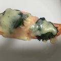 かんじきんぐ's cooksnap of when they made とろーり！秋鮭の大葉チーズ焼き★.