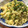 みみまーたん's cooksnap of when they made ☆塩昆布と桜えびの和風ポテトサラダ.