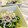 LimeLunch's cooksnap of when they made ☆豆苗＆しらすで!!さっぱりおひたし☆彡.