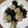 ショコラメロン's cooksnap of when they made レンジで簡単♪もやしと水菜の豚肉巻き.