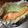 Ericats★'s cooksnap of when they made 料理酒だけで、簡単甘塩鮭のホイル焼き.