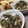 マイナーキー's cooksnap of when they made 焼き豚と長ネギきのこのさっぱり炒め.