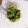 さり☆ダイエッター's cooksnap of when they made ネギの青い部分だけで！万能ねぎ油☆.