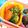 れれれんこん。's cooksnap of when they made レンチン温野菜　.