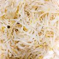クックMB0955☆'s cooksnap of when they made もやしのナムル.