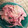 minotan's cooksnap of when they made 簡単野菜炒め♪.