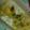 クック6Z2IML☆'s cooksnap of when they made グラタン ドフィノワ.