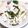 KUMI KUMI's cooksnap of when they made わかめと明太子の混ぜご飯.