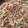 ☆hiroppy☆'s cooksnap of when they made 牛肉ともやしの中華炒め.
