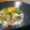 ダイナマイト漆黒's cooksnap of when they made 老舗の味を求めて！そぼろの親子丼.