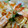 ﾋﾟﾛﾐ♡'s cooksnap of when they made だし香るちらし寿司.